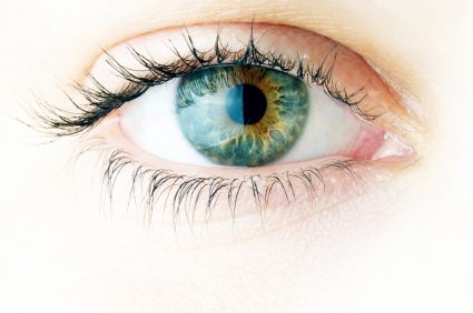 eye