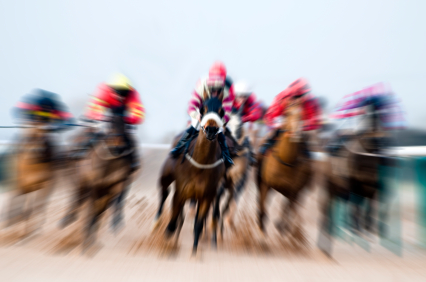 horse race