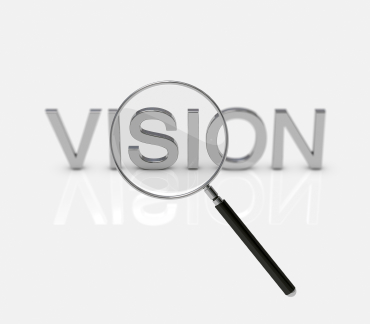 vison photo